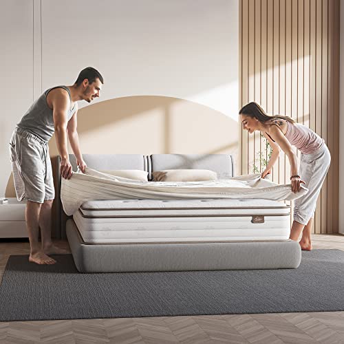 TeQsli Full Mattress 10 Inch, Cool Eggshell Memory Foam and 7 Zone Pocket Innerspring Hybrid in a Box, Pressure Relief & Supportive Full Bed Mattress, Breathable Cover 100 Nights Trial (TSB25F-US)