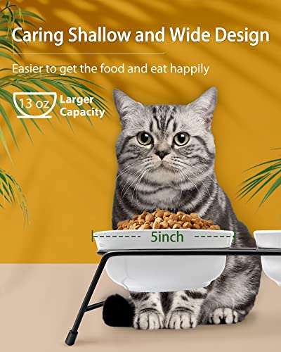 3 Cat Food Bowls Ceramic 13 oz Upgraded with Stainless Steel Stand Non-Slip and Anti-Rust Elevated Raised Cat Bowls for Food and Water, Pet Dishes Bowl for Indoor Cats and Puppy, Dishwasher Safe