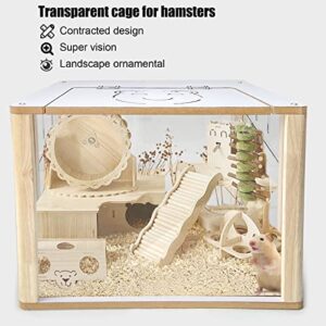 Chngeary Hamster Cage with Transparent Walls, Small Animal Cage Can Observe Pets in Time, Hamster Landscaping House for All Hamsters, Rats, and Other Small Animals of Similar Size