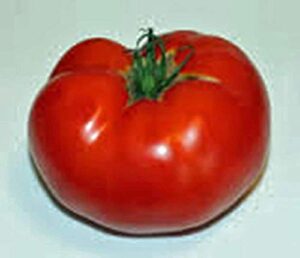 tomato, celebrity, heirloom, 100 seeds, deliciously sweet red tasty fruit