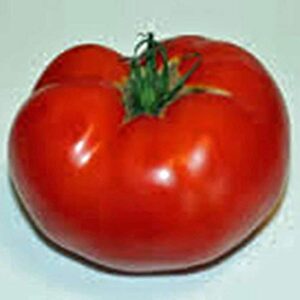 Tomato, Celebrity, Heirloom, 100 Seeds, Deliciously Sweet RED Tasty Fruit