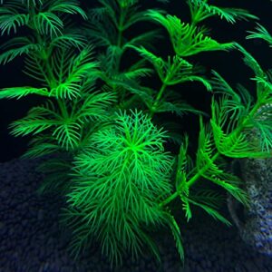 TANOMA Artificial Aquarium Plants Plastic, Fake Plants for Aquarium Fish Tank, Realistic Plant 10PCS