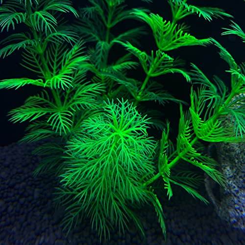 TANOMA Artificial Aquarium Plants Plastic, Fake Plants for Aquarium Fish Tank, Realistic Plant 10PCS