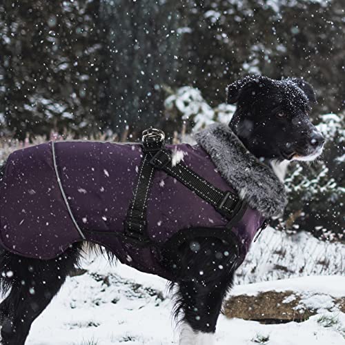 BRKURLEG Purple Dog Coat with Harness Detachable,Small Medium Large Dog Winter Clothes with Furry Collar,Pet Warm Snow Suit Jacket with Reflective,Waterproof Cold Weather Doggy Fleece Cozy Vest Hiking