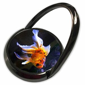 3drose taiche - photography - goldfish - photograph of a pet goldfish - phone rings (phr-361088-1)