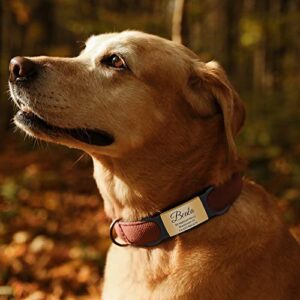 JATEBI 2 Pack Personalized Dog Tag, Slide-On Pet ID Tags,Stainless Steel Dog Tags, No Jingle Slide on Cat ID Tag, Custom Engraved No Noise Animal Identification Tag(L Black)…