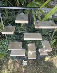10 piece kiln dried pine wood ledges, platfrom, steps for chinchillas, rats, birds and caged critters. chinchilla cage accessories.