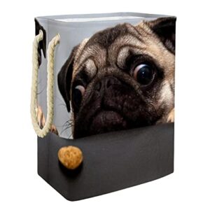 laundry hamper beautiful male pug puppy dog collapsible laundry baskets firm washing bin clothes storage organization for bathroom bedroom dorm