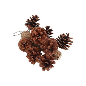 gloglow birds bite toy ，parrots chewing toy wooden pine cone ing parrots beak grinding toy with metal hook for cage