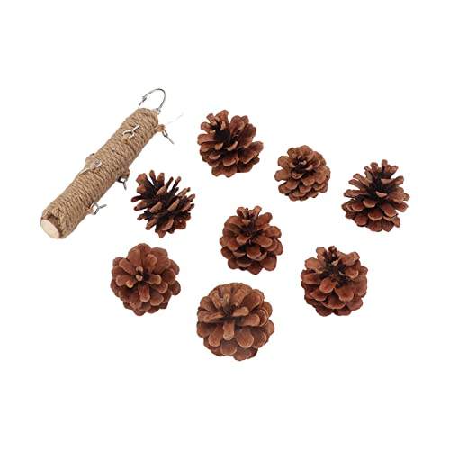 GLOGLOW Birds Bite Toy ，Parrots Chewing Toy Wooden Pine Cone ing Parrots Beak Grinding Toy with Metal Hook for Cage