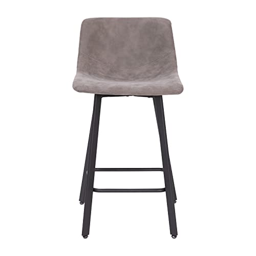 Flash Furniture Caleb Modern Armless 24 Inch Counter Height Stools Commercial Grade with Footrests and Matte Metal Frames, Set of 2