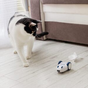 Kittio Robo Mouse - Interactive Mouse Chase Cat Toy - USB Charging - Smart Steering Sensors & Motion Activated