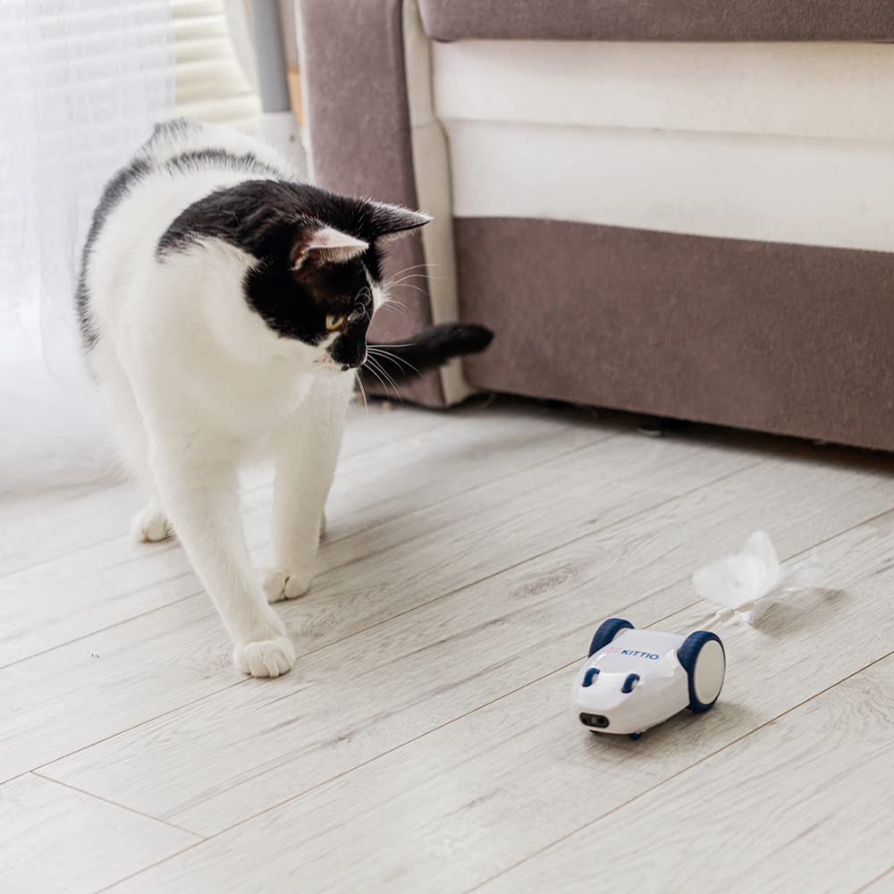 Kittio Robo Mouse - Interactive Mouse Chase Cat Toy - USB Charging - Smart Steering Sensors & Motion Activated