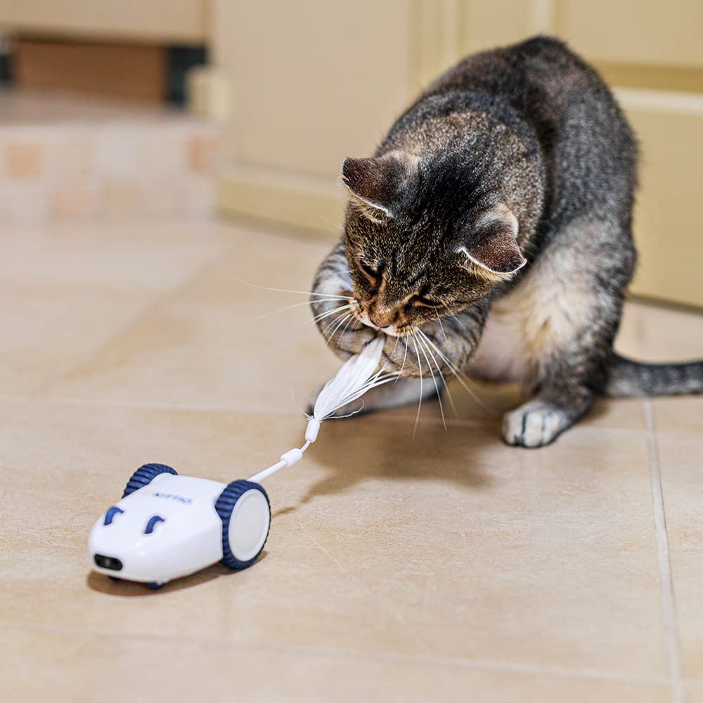 Kittio Robo Mouse - Interactive Mouse Chase Cat Toy - USB Charging - Smart Steering Sensors & Motion Activated