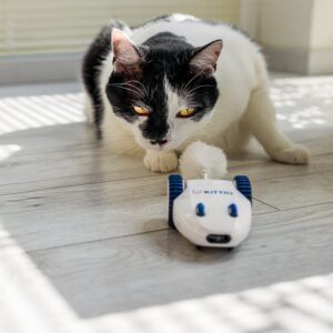 Kittio Robo Mouse - Interactive Mouse Chase Cat Toy - USB Charging - Smart Steering Sensors & Motion Activated