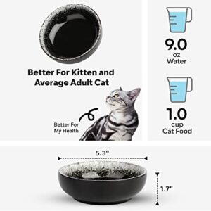 Ceramic Cat Bowls, Toptier Cat Bowls Cat Dishes for Food and Water, Shallow Cat Food Bowls Pet Dishes for Cats, Kittens, and Small Animals, Set of 2, Black and White