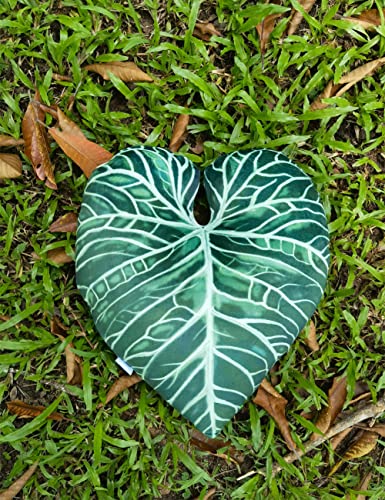 HOFFENDER Leaf Pillows Plant Pillows for Bedroom, Living Room and Patio Green Throw Pillows (Anthurium Regale)