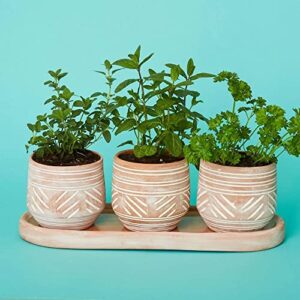 Gold & Garden Bangladesh Small Rustic Geometric Round Terracotta Pot Set with Tray