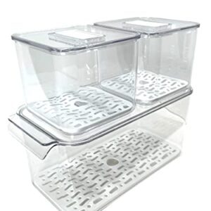 3 Pcs Plastic Refrigerator Food Storage Containers - Clear Organizer Bins W/Removable Drain Tray, Stackable Vented Lids, Fruit & Vegetables Fridge Organizers & Storage Clear for Pantry & Freezer