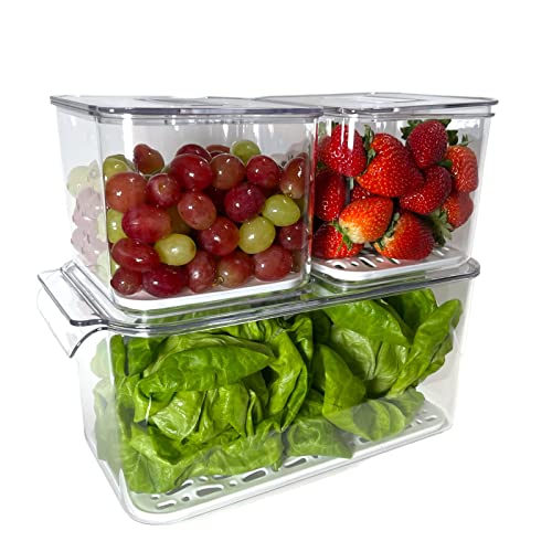 3 Pcs Plastic Refrigerator Food Storage Containers - Clear Organizer Bins W/Removable Drain Tray, Stackable Vented Lids, Fruit & Vegetables Fridge Organizers & Storage Clear for Pantry & Freezer