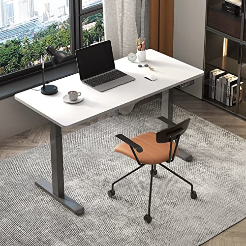 ERGOMORE Dual Motor Standing Desk Frame, Adjustable Height Desk Frame, Electric Standing Desk Frame, Standing Desk Legs with 3 Height Memory Presets and USB Ports (Gray Frame)