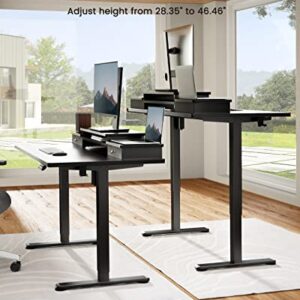 Ergear ErGear Electric Standing Desk with Double Drawers, 48x24 Inches Adjustable Height Sit Stand Up Desk, Home Office Desk Computer Workstation with Storage Shelf, Black (EGESD5B-1)
