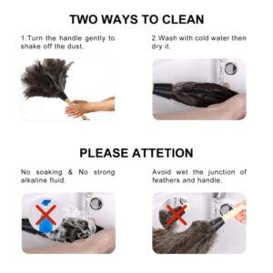 SetSail Feather Duster, 2 Pack Fluffy Natural Ostrich Feathers for Cleaning with Wooden Handle Eco-Friendly Feather Duster Cleaning Supplies for Furniture, Car, Collectibles...