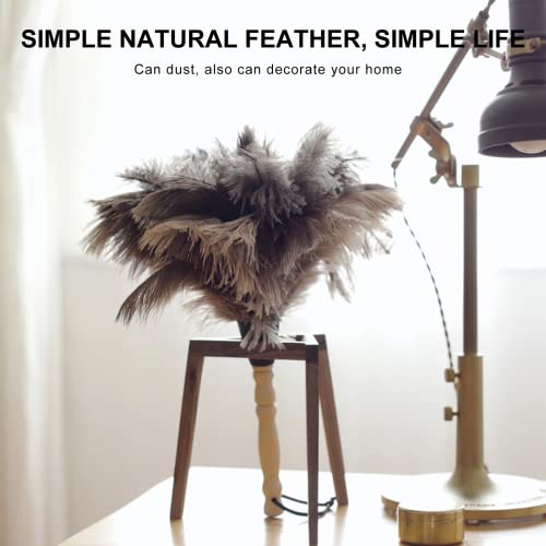 SetSail Feather Duster, 2 Pack Fluffy Natural Ostrich Feathers for Cleaning with Wooden Handle Eco-Friendly Feather Duster Cleaning Supplies for Furniture, Car, Collectibles...