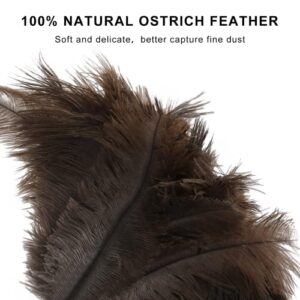 SetSail Feather Duster, 2 Pack Fluffy Natural Ostrich Feathers for Cleaning with Wooden Handle Eco-Friendly Feather Duster Cleaning Supplies for Furniture, Car, Collectibles...