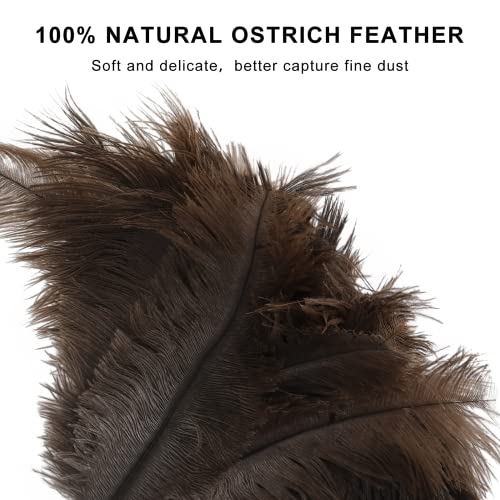 SetSail Feather Duster, 2 Pack Fluffy Natural Ostrich Feathers for Cleaning with Wooden Handle Eco-Friendly Feather Duster Cleaning Supplies for Furniture, Car, Collectibles...