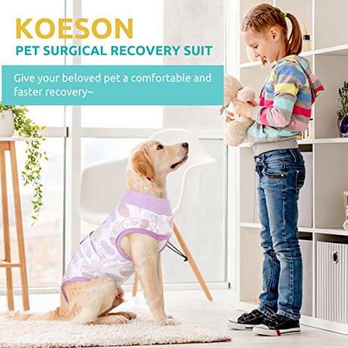 KOESON Dog Recovery Suit, Surgery Recovery Suit for Female Dogs Spayed Dog Cone Alternative After Surgery, Dog Post Surgery Suit Anti Licking & Biting Surgical Shirt with Pee Hole Rabbit XL