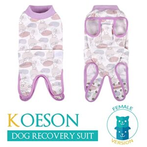 KOESON Dog Recovery Suit, Surgery Recovery Suit for Female Dogs Spayed Dog Cone Alternative After Surgery, Dog Post Surgery Suit Anti Licking & Biting Surgical Shirt with Pee Hole Rabbit XL