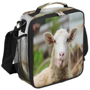sheep lunch bag for girls boys, cute sheep reusable insulated lunch box leak proof lunch cooler tote bag for school picnic travel beach