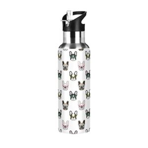 french bulldog dog animals insulated water bottle with straw, stainless steel bpa free water flask gym sport, 20 oz hot cold