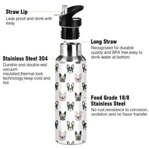 French Bulldog Dog Animals Insulated Water Bottle with Straw, Stainless Steel BPA Free Water Flask Gym Sport, 20 oz Hot Cold