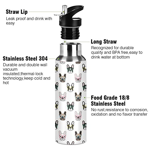 French Bulldog Dog Animals Insulated Water Bottle with Straw, Stainless Steel BPA Free Water Flask Gym Sport, 20 oz Hot Cold