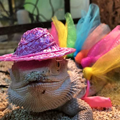 Ipetboom Bearded Dragon Costume Bearded Dragon Hat for Lizards Bearded Dragon Tutu Skirt Reptile Mini Deck Chair Small Pet Costume Outfits Clothes Photo Props for Lizards Geckos Hamsters Rats