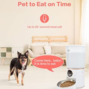 beQ 5L Automatic Cat Feeder, Timed Dog Feeder for Dry Pet Food with Stainless Steel Bowl, Twist Lock Sealed Lid and Desiccant Dag, 1-6 Meals Per Day, 20-Second Voice Recording, for Cats or Dogs.