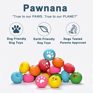 Pawnana Squeaky Dog Toys - Soft Latex Rubber Squeaky Dog Ball for Small Puppies and Medium Dogs - Bounce Dog Squeak Toys Balls with Funny Cute Face