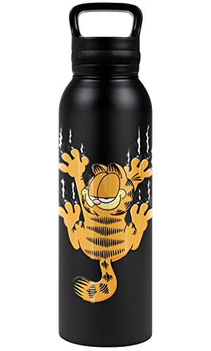 Garfield OFFICIAL Hang In There 24 oz Insulated Canteen Water Bottle, Leak Resistant, Vacuum Insulated Stainless Steel with Loop Cap