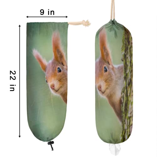 Animal Squirrel Plastic Bag Holder, Squirrel Tree Grocery Bag Storage Holder Hanging Garbage Shopping Bag Trash Bags Organizer for Kitchen Home