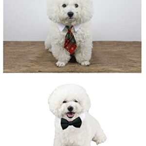 4 Pieces Pets Dog Cat Bowtie Pet Costume Adjustable Formal Necktie Collar for Cats Small Dogs Puppy Grooming Accessories (Snow)