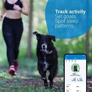 Tractive Waterproof GPS Dog Trackers - Location & Activity, Unlimited Range & Works with Any Collar (Pack of 2)