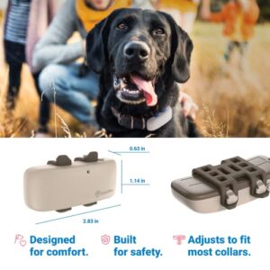 Tractive Waterproof GPS Dog Trackers - Location & Activity, Unlimited Range & Works with Any Collar (Pack of 2)