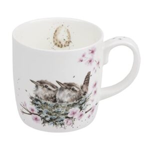 royal worcester wrendale designs feather your nest mug | 14 ounce large coffee mug with bird design | made from fine bone china | microwave and dishwasher safe