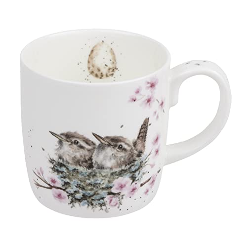 Royal Worcester Wrendale Designs Feather Your Nest Mug | 14 Ounce Large Coffee Mug with Bird Design | Made from Fine Bone China | Microwave and Dishwasher Safe