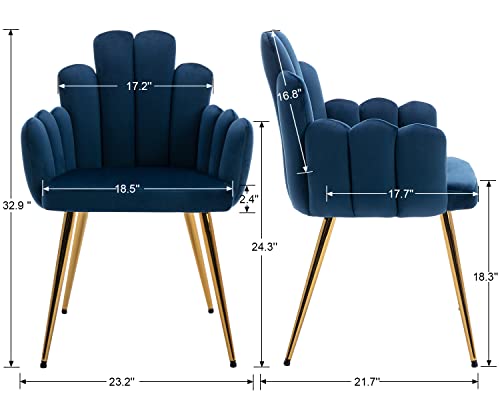 RIVOVA Navy Blue Velvet Dining Chairs Set of 4, Modern Accent Chairs Upholstered Side Chairs Kitchen Chairs Living Room Chairs with Gold Metal Legs