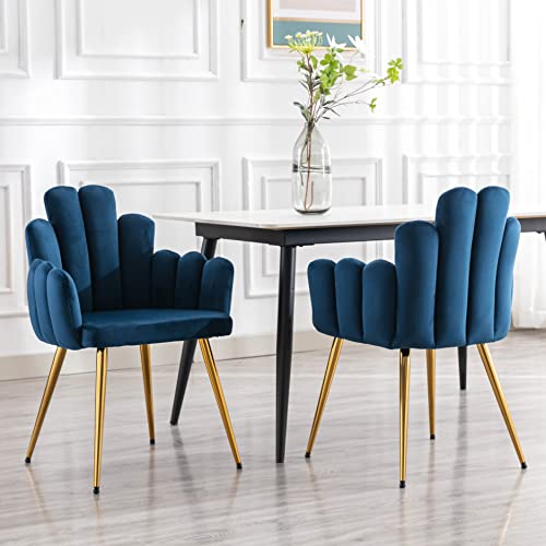 RIVOVA Navy Blue Velvet Dining Chairs Set of 4, Modern Accent Chairs Upholstered Side Chairs Kitchen Chairs Living Room Chairs with Gold Metal Legs