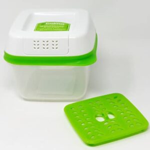 Fresh Produce Saver 591ml Storage Container - Green & White - 3 Piece Set