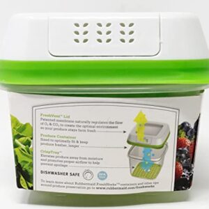 Fresh Produce Saver 591ml Storage Container - Green & White - 3 Piece Set